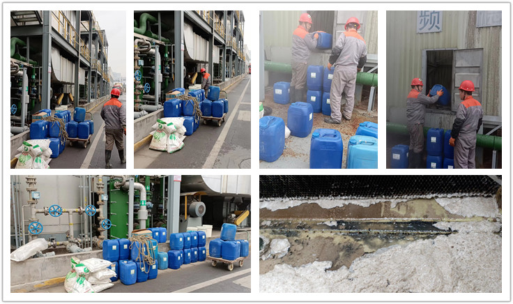 冷水機組係統香蕉视频APP黄色1_副本